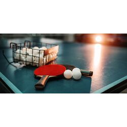 Теннисный стол Sponeta S 1-42 i (Green) Thumb