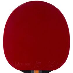 Ракетка для настольного тенниса Stiga Sports Bat Vision 4 Star 1214-3218-01 (Black/Red) Thumb