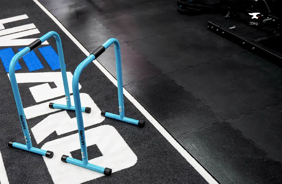 Брусья LivePro LP8161 (Blue)