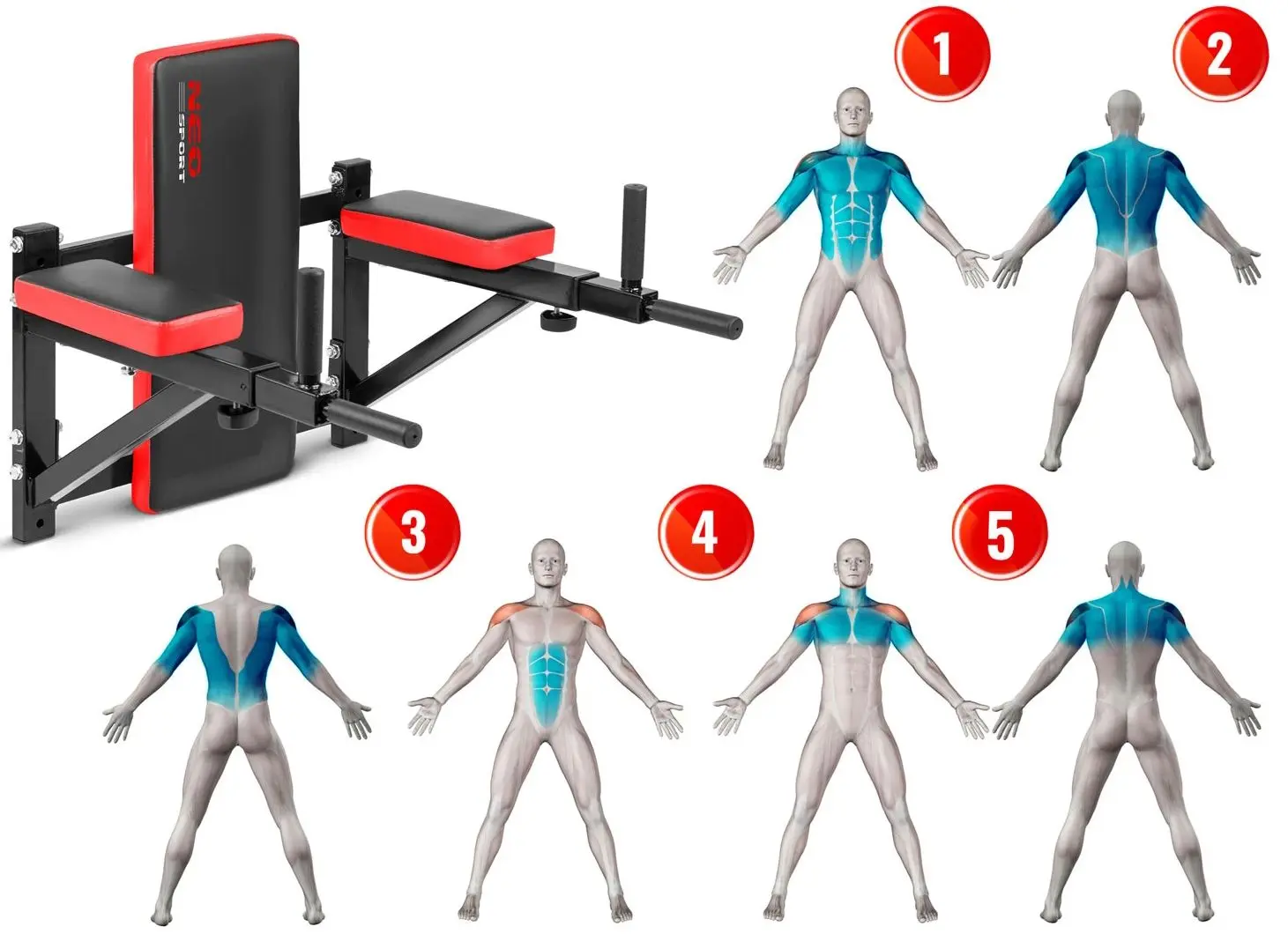 Atasament pentru scară-gimnastica Neo Sport NS-320 (Black/Red)