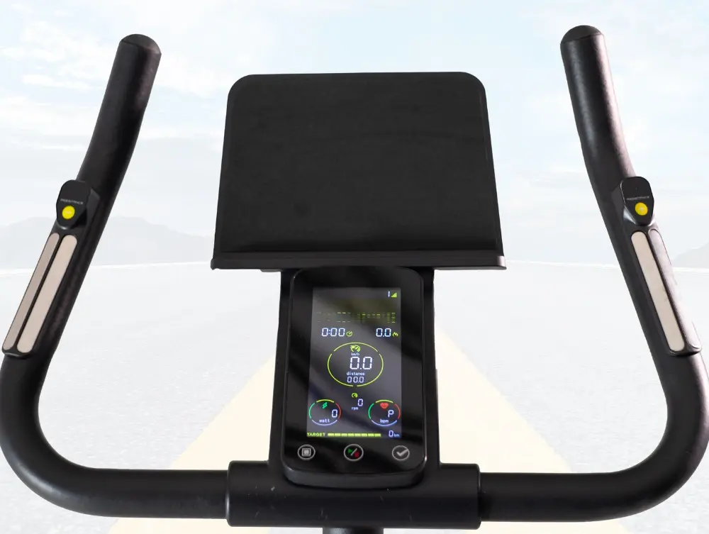 Bicicleta fitness BH Fitness Rhone H1205 (Black)