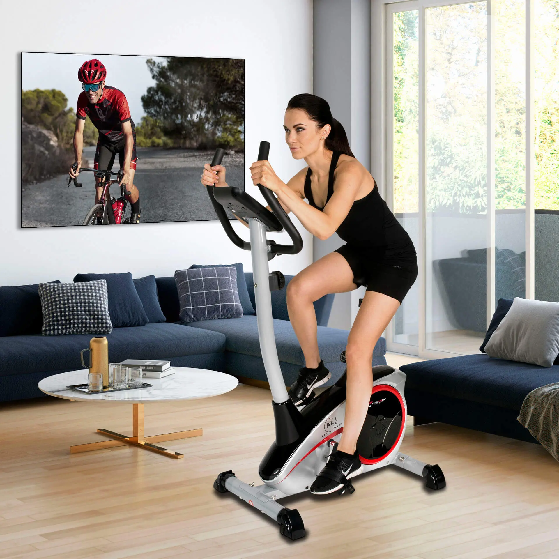 Bicicleta fitness Christopeit Sport AL1 (Silver)