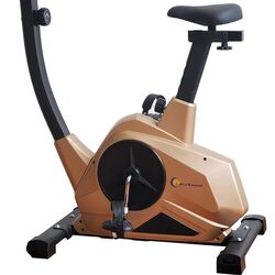 Bicicleta fitnes FitTronic 601B Gold (Black/Golden) Thumb