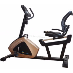 Bicicleta fitness FitTronic 607R (Black/Gold)
