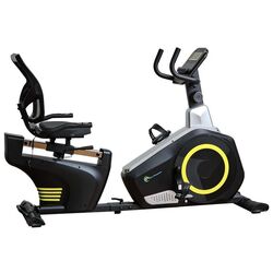 Bicicleta eliptica FitTronic 609R (Black/Grey) Thumb