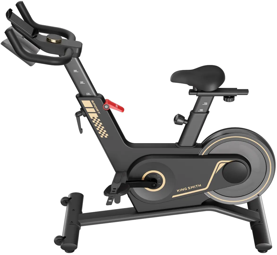 Bicicleta fitness KingSmith PB08S (Black) - 3