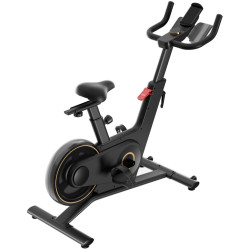 Bicicleta fitness KingSmith PB08S (Black) Thumb