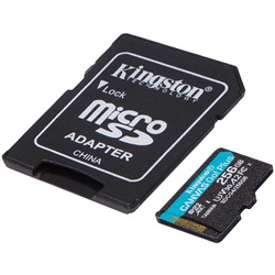Card memorie Kingston Canvas Go! Plus microSDXC 256GB Class 10 UHS-I + SD adapter (SDCG4/256GB) Thumb