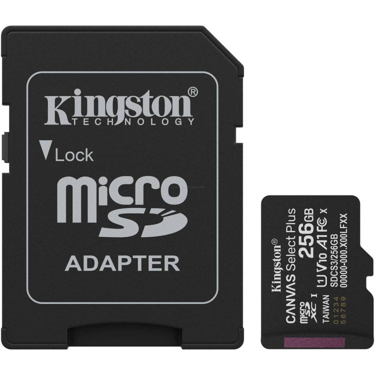 Карта памяти Kingston Canvas Go! Plus SDXC 256GB Class 10 UHS-I (SDCS3/256B)