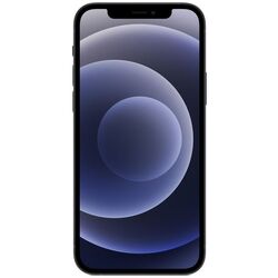 Мобильный телефон Apple iPhone 12 4GB/128GB (Black)