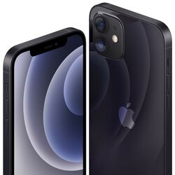 Мобильный телефон Apple iPhone 12 4GB/256GB (Black) Thumb