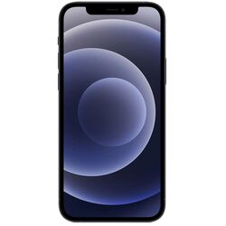 Мобильный телефон Apple iPhone 12 4GB/64GB (Black)