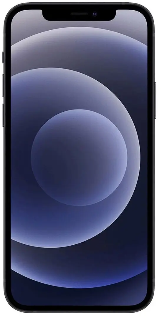 Мобильный телефон Apple iPhone 12 4GB/64GB (Black)