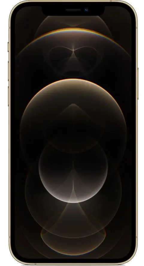 Мобильный телефон Apple iPhone 12 Pro 6GB/256GB (Gold)