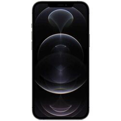 Мобильный телефон Apple iPhone 12 Pro 6GB/256GB (Graphite)