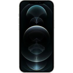 Мобильный телефон Apple iPhone 12 Pro 6GB/256GB (Silver)