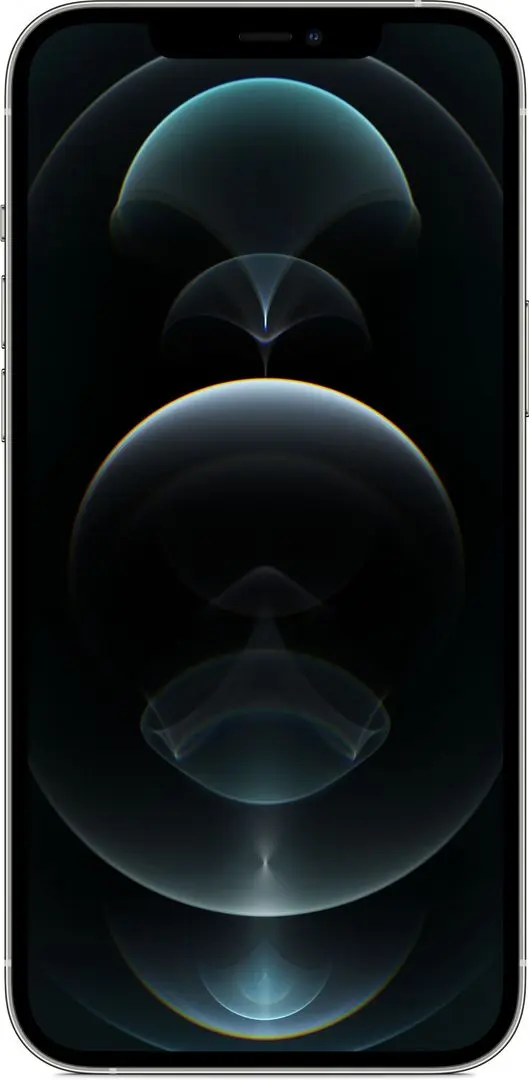 Мобильный телефон Apple iPhone 12 Pro 6GB/256GB (Silver)