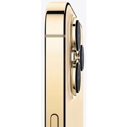 Мобильный телефон Apple iPhone 13 Pro Dual 6GB/1TB (Gold) Thumb