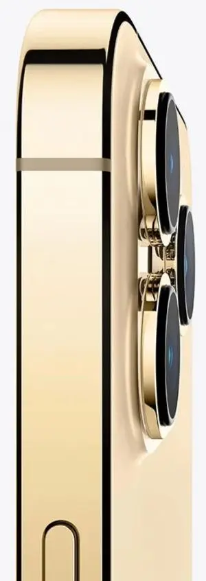 Мобильный телефон Apple iPhone 13 Pro Dual 6GB/1TB (Gold) - 3