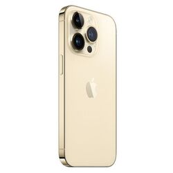 Telefon mobil Apple iPhone 13 Pro 6GB/1TB (Gold) Thumb