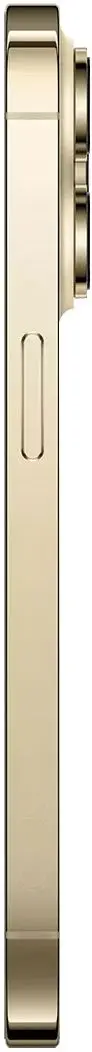 Мобильный телефон Apple iPhone 14 Pro Max 6GB/256GB (Gold) - 3