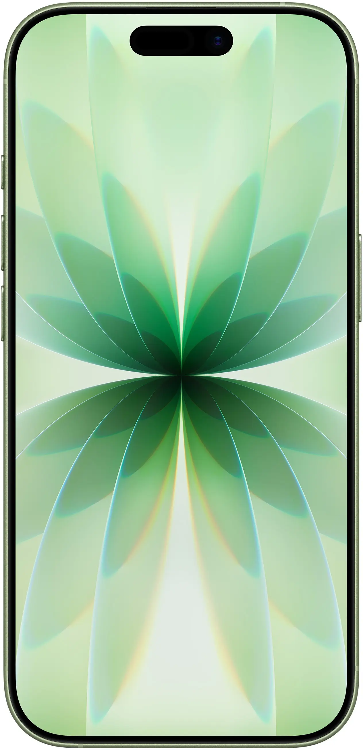 Мобильный телефон Apple iPhone 17 8/512GB (Sage) - 2