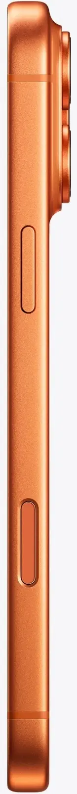 Мобильный телефон Apple iPhone 17 Pro Max 12/256GB (Cosmic Orange)