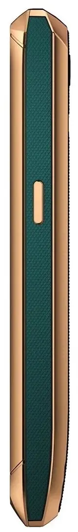 Мобильный телефон Cubot Pocket Dual 4GB/64GB (Green/Gold)