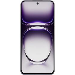 Мобильный телефон Oppo Reno 12 5G Dual 12GB/256GB (Astro Silver)