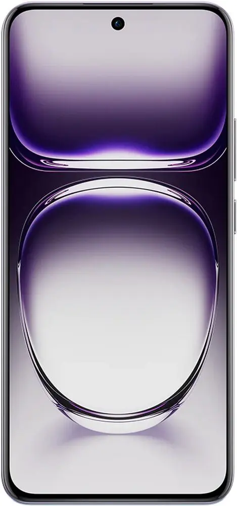 Мобильный телефон Oppo Reno 12 5G Dual 12GB/256GB (Astro Silver)