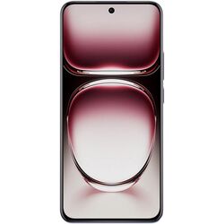 Мобильный телефон Oppo Reno 12 5G Dual 12GB/256GB (Black Brown)