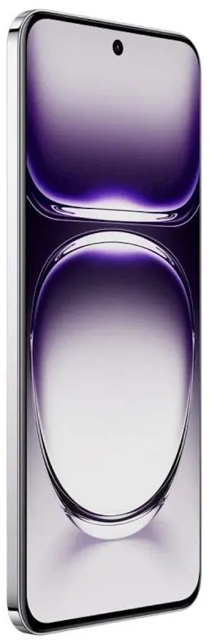 Мобильный телефон Oppo Reno 12 Dual 12GB/512GB (Astro Silver)