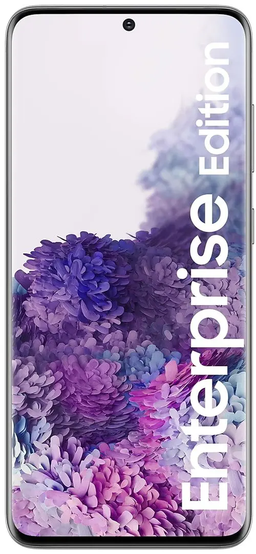 Мобильный телефон Samsung Galaxy S20 SM-G980 Dual 8GB/128GB (Cosmic Gray)