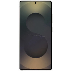 Мобильный телефон Samsung Galaxy S25 Ultra 12GB/1TB (Titanium Black)