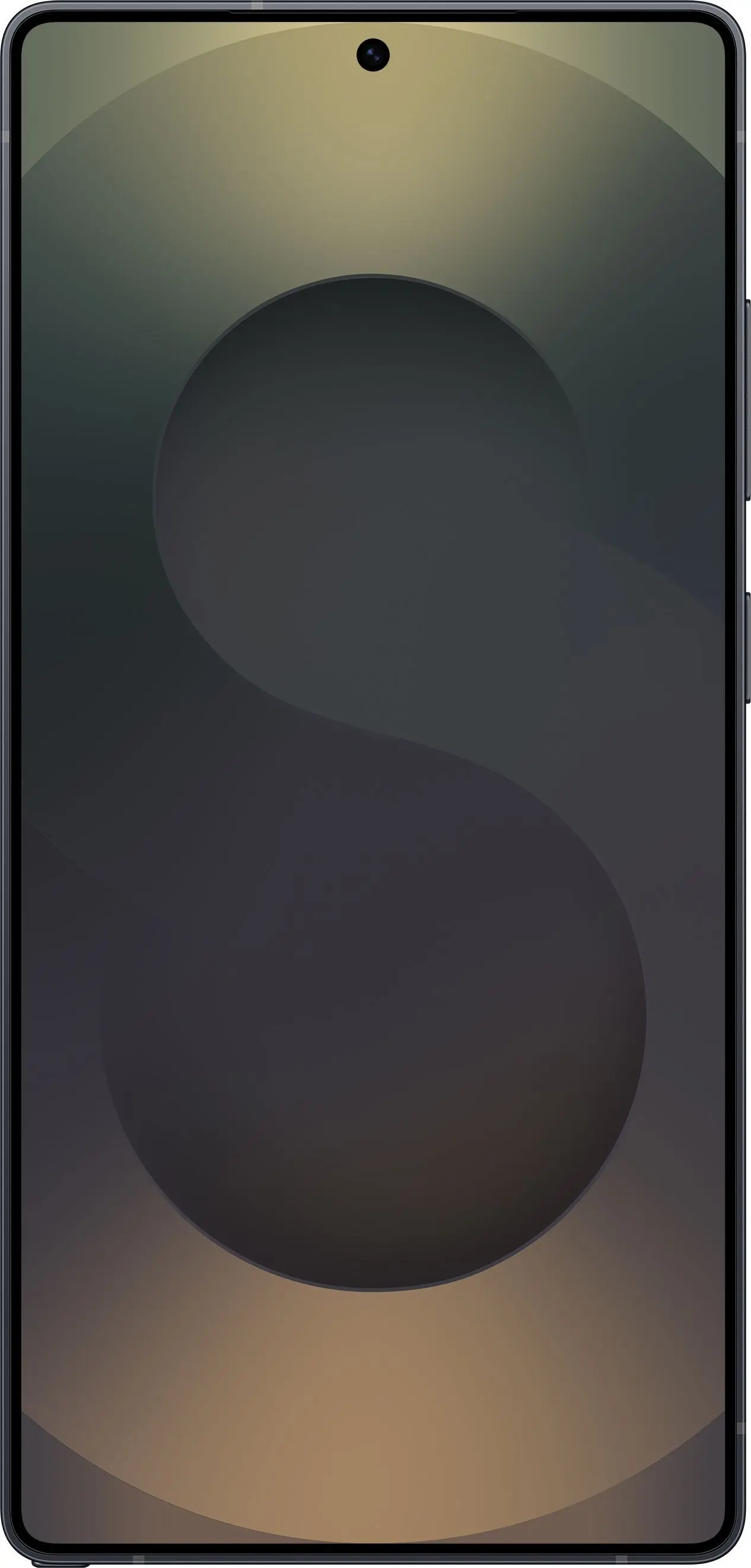 Мобильный телефон Samsung Galaxy S25 Ultra 12GB/1TB (Titanium Jet Black) - 2