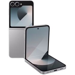 Мобильный телефон Samsung Galaxy Z Flip6 12GB/512GB (Silver Shadow) Thumb