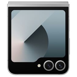 Мобильный телефон Samsung Galaxy Z Flip6 12GB/512GB (Silver Shadow) Thumb