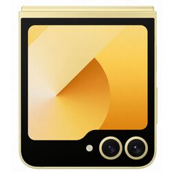 Мобильный телефон Samsung Galaxy Z Flip6 12GB/256GB (Yellow) Thumb