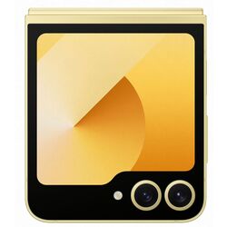 Мобильный телефон Samsung Galaxy Z Flip6 12GB/512GB (Yellow) Thumb