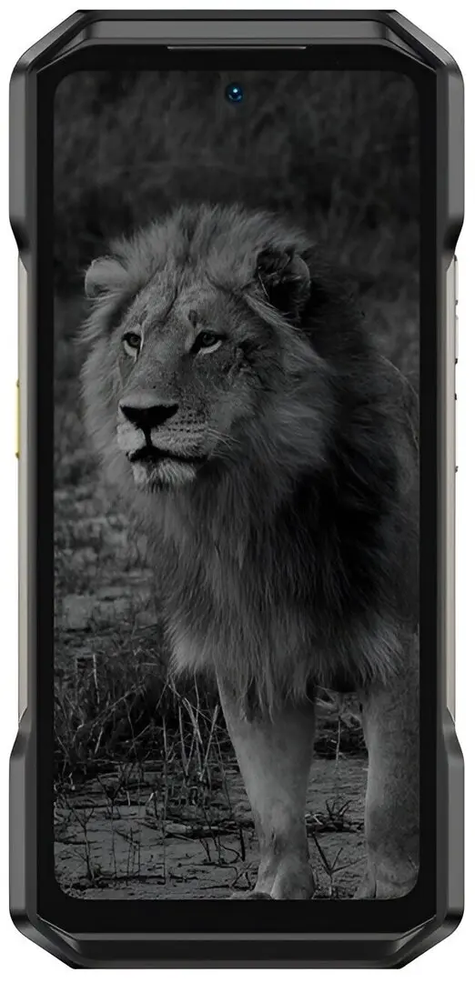 Telefon mobil Ulefone Armor 27 Pro 12/256GB (Black)