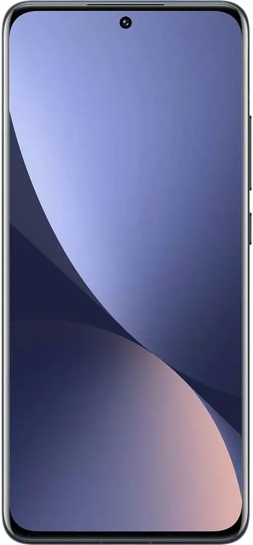 Мобильный телефон Xiaomi 12 5G Dual 12GB/256GB (Gray)