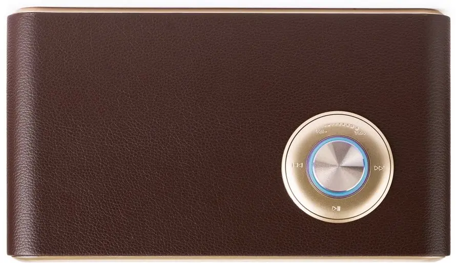 Портативная акустическая колонка E-Boda Retro Vibe 100 (Brown) - 5