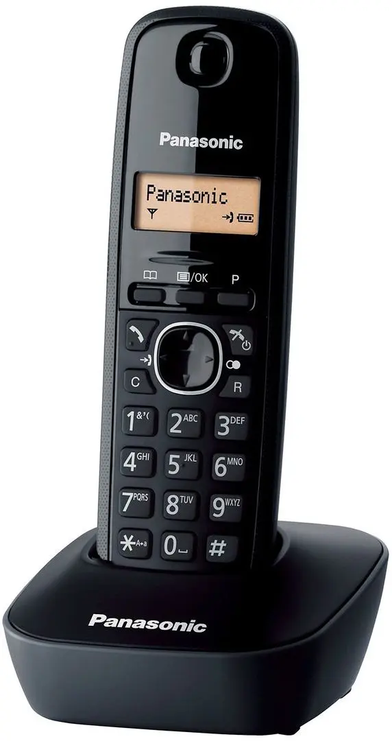 Radiotelefon Panasonic KX-TG1612FXH (Black) - 3