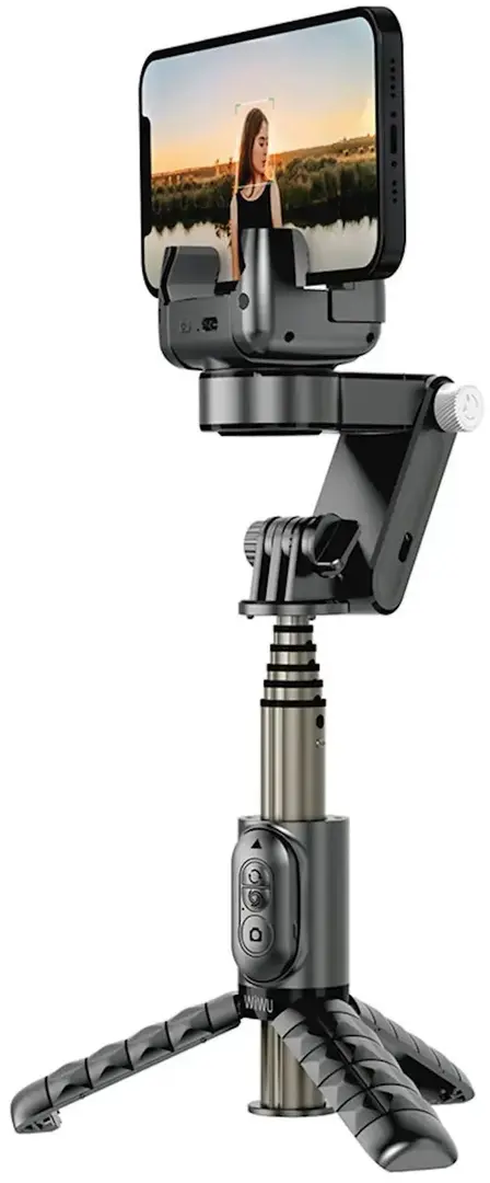 Монопод Wiwu Wi-SE006 (Black)