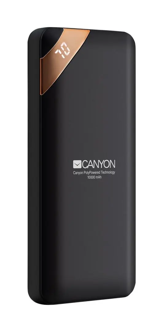 Универсальный внешний аккумулятор Canyon PB-102 (Black)