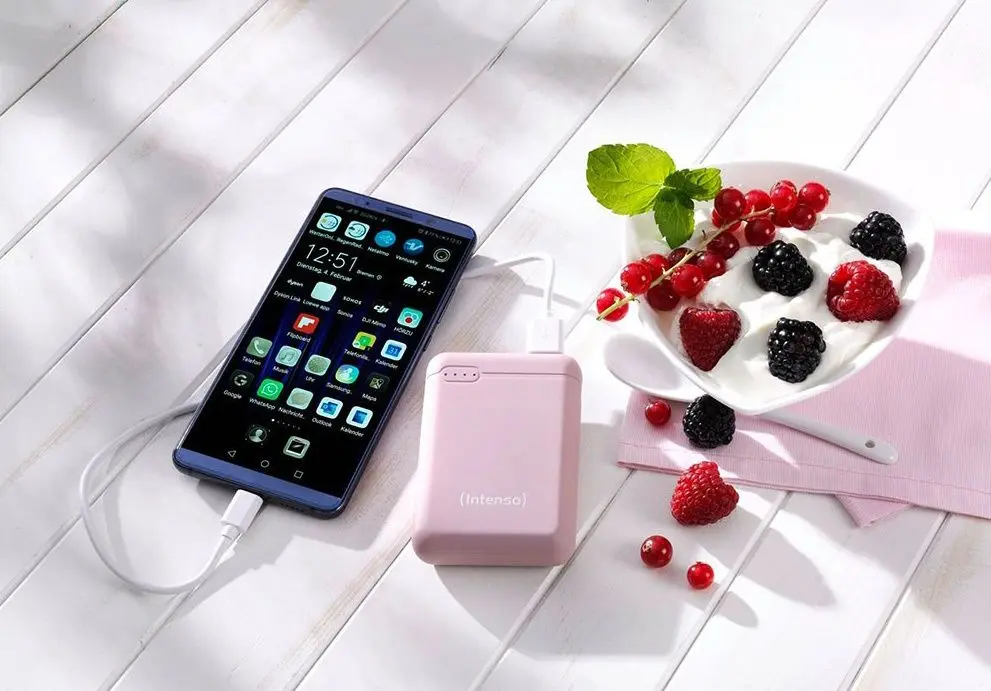 Универсальный внешний аккумулятор Intenso XS10000 (Rose) - 5
