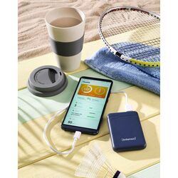 Универсальный внешний аккумулятор Intenso XS5000 (Blue) Thumb