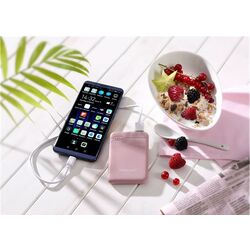 Универсальный внешний аккумулятор Intenso XS5000 (Rose) Thumb