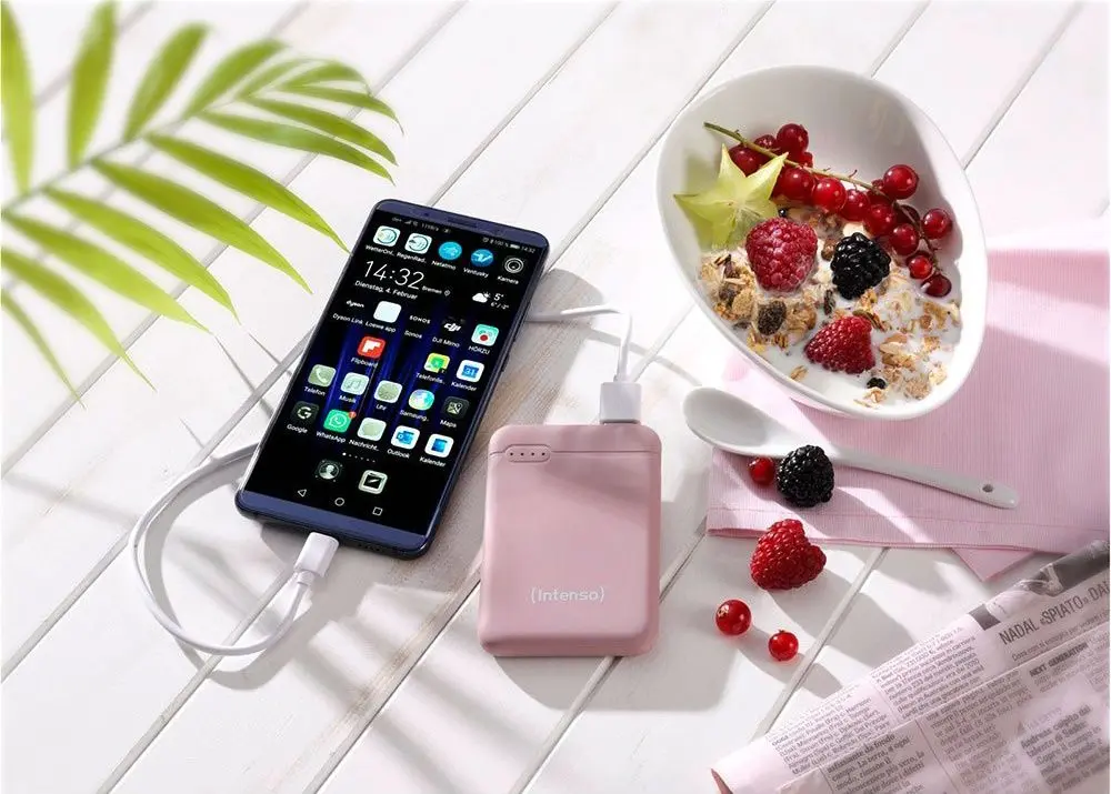 Универсальный внешний аккумулятор Intenso XS5000 (Rose) - 5