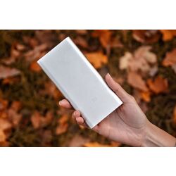 Универсальный внешний аккумулятор Xiaomi 2S 10000mAh (Silver) Thumb